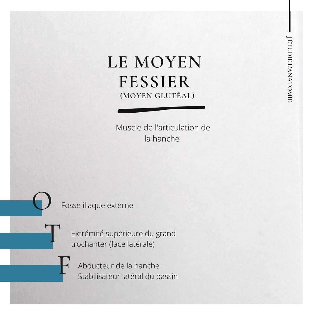le moyen fessier - the expression