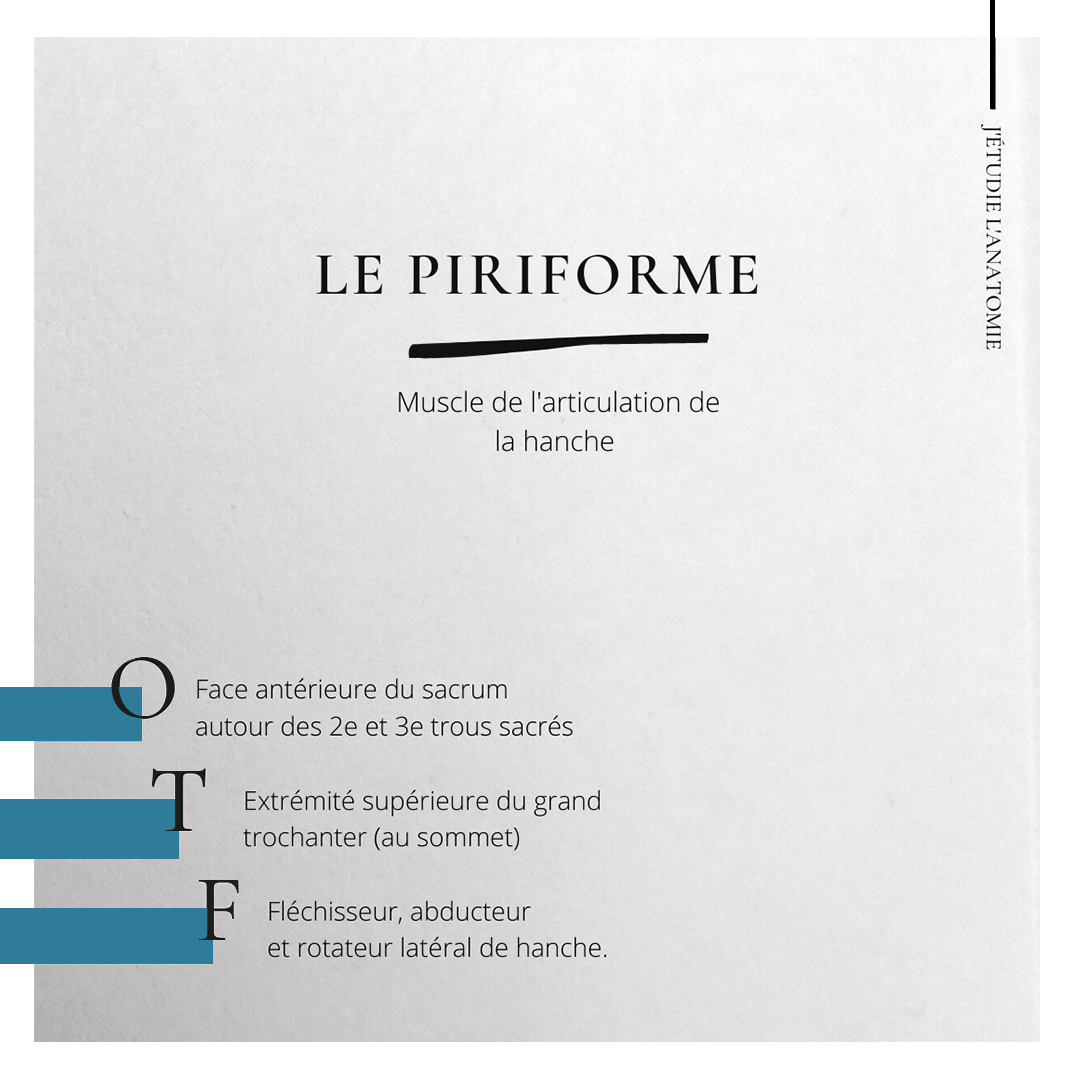 Le piriforme - the expression