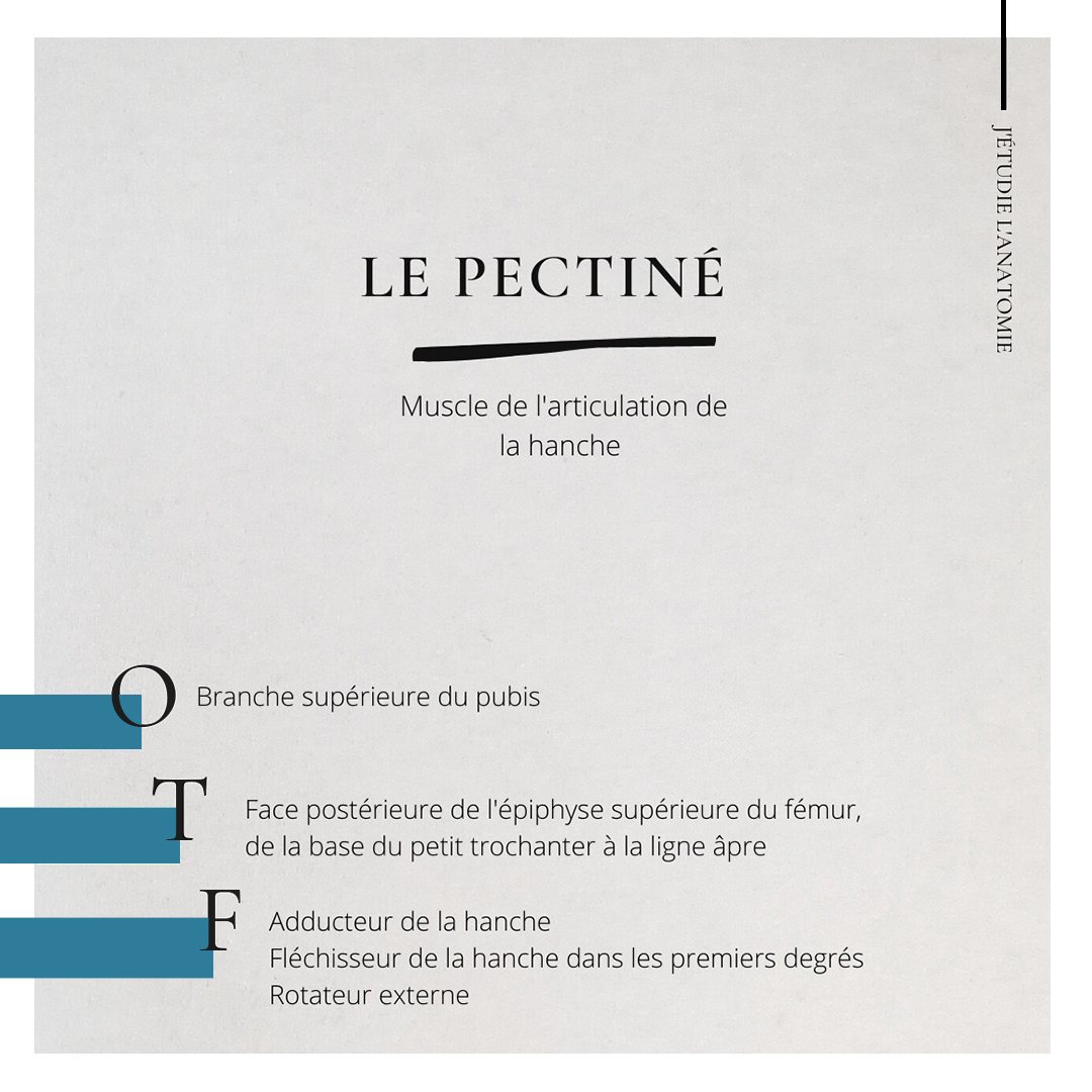 Le pectiné - the expression