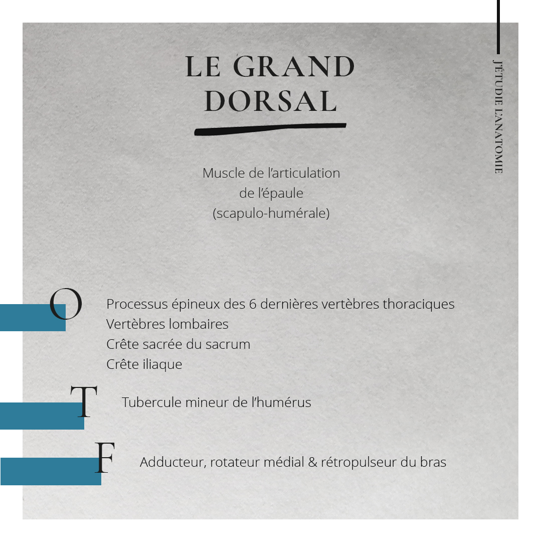 Le grand dorsal - the expression