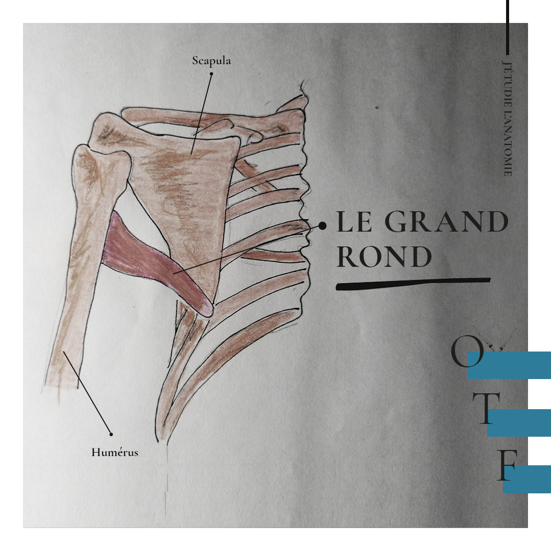 Le grand rond - the expression