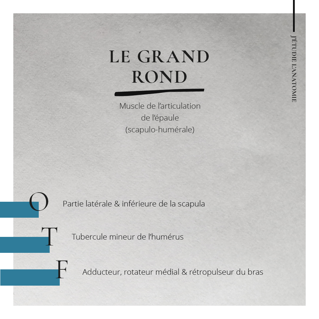 Le grand rond - the expression