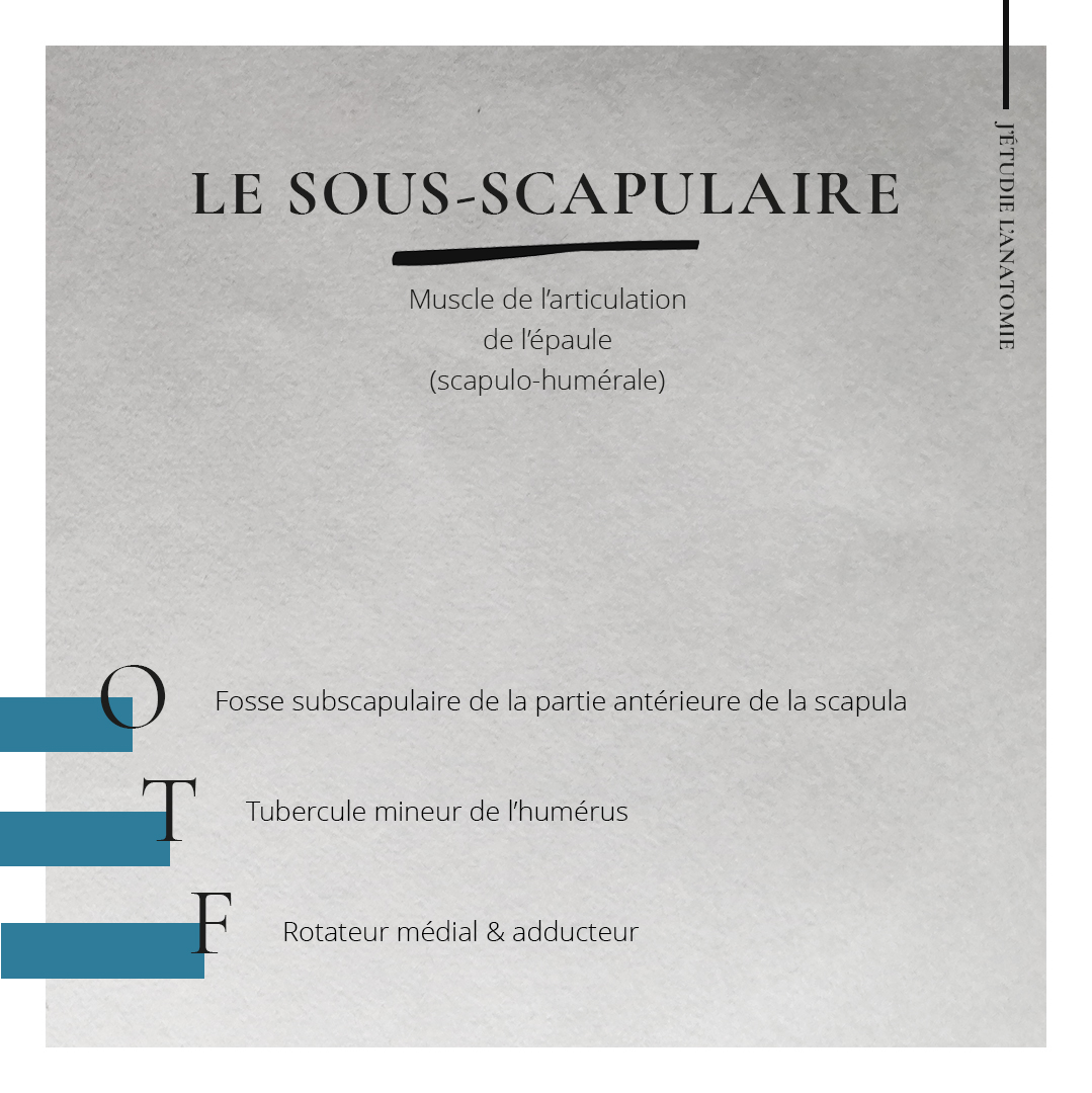 Le sous-scapulaire - the expression